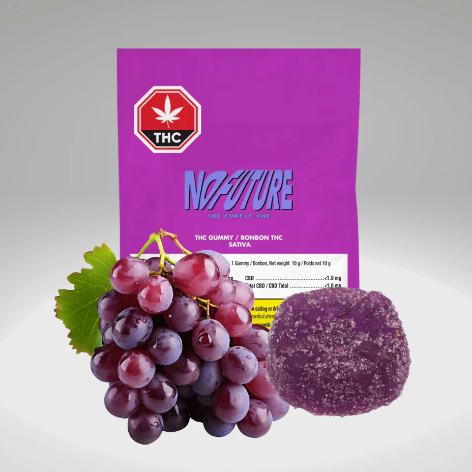 No Future - The Purple One Sativa THC Sour Soft Chew 1 x 10g 