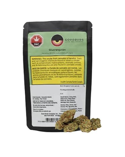 Good Buds - Gluerangutan