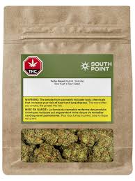 South Point - Turbo Diesel