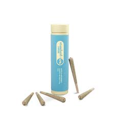 Standard Issue - Sour Raspberry 5 x 0.5g Infused Pre-Rolls