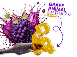 Dab Bods - Grape Animal 2.0 1g Shatter