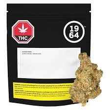 1964 - Lemon Diesel 7g Dried Flower