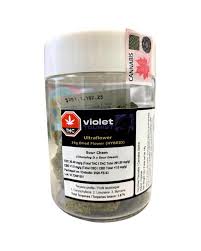Violet Tourist - Ultraflower 14g Dried Flower