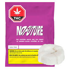 No Future - The Mystery White One - THC Gummy 1x10g