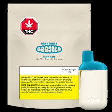 Back Forty - Kush Mint BOOSTED 1.2g Disposable Vape