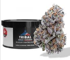 Tribal - Gran Turismo 3.5g Dried Flower