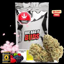 Big Bag O' Buds - Gasberry Kush 28g Dried Flower