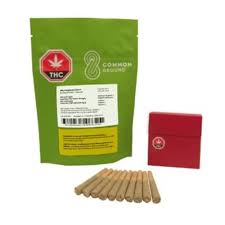 Common Ground - Jelly Doughnutz 10 x 0.5g Pre-Rolls