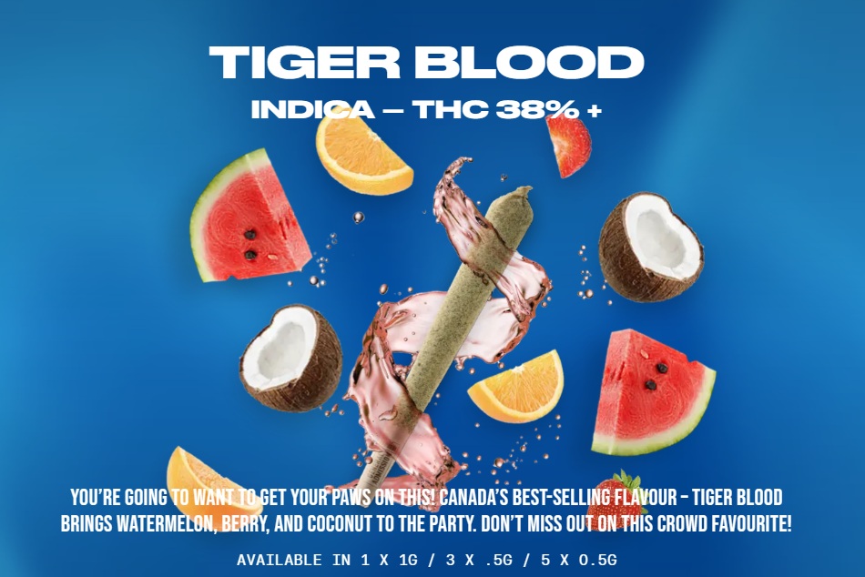 General Admission - Tiger Blood Diamond 3 x 0.5g Diamond Infused Pre-Rolls
