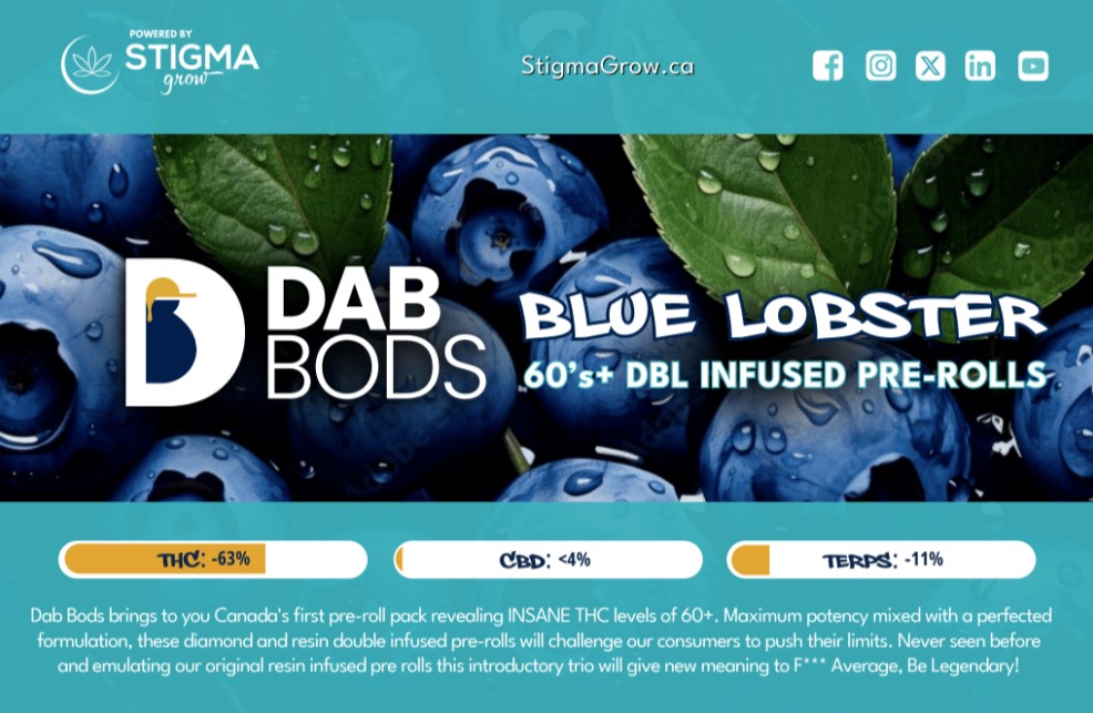 Dab Bods - Blue Lobster 60's+ Dbl Infused Pre-Rolls 3 x 0.5g